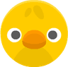 Kuiken